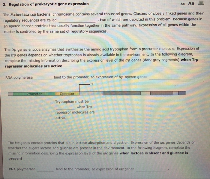 Solved Aa Aa 2. Regulation of prokaryotic gene expression | Chegg.com