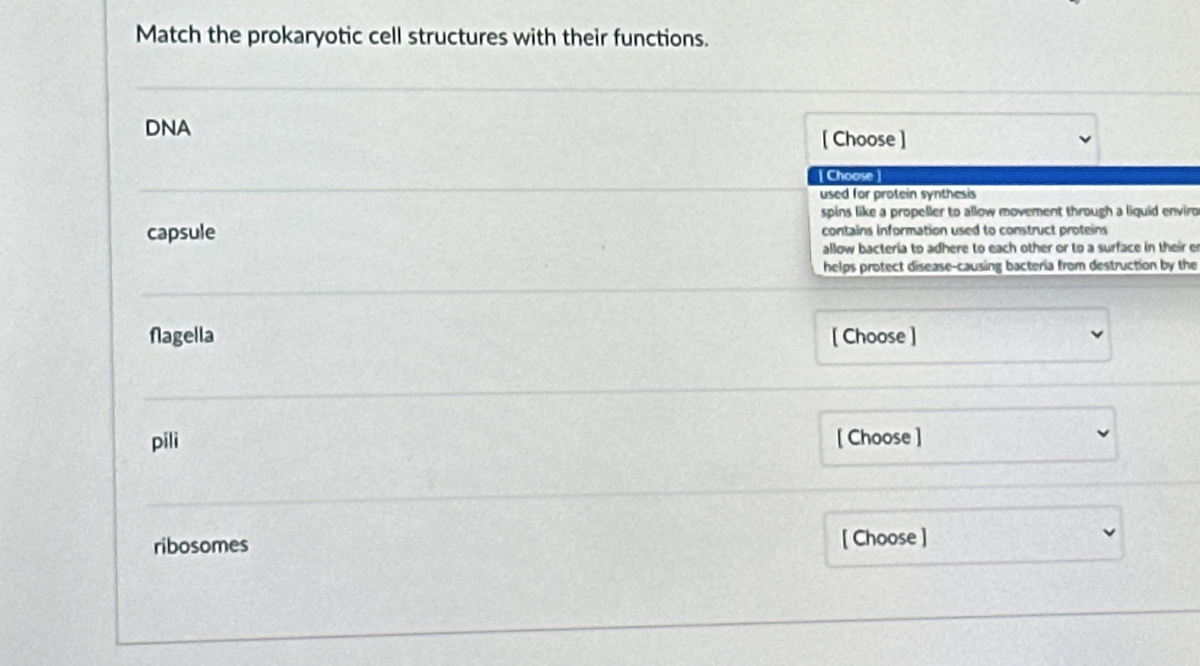Solved Match the prokaryotic cell structures with their