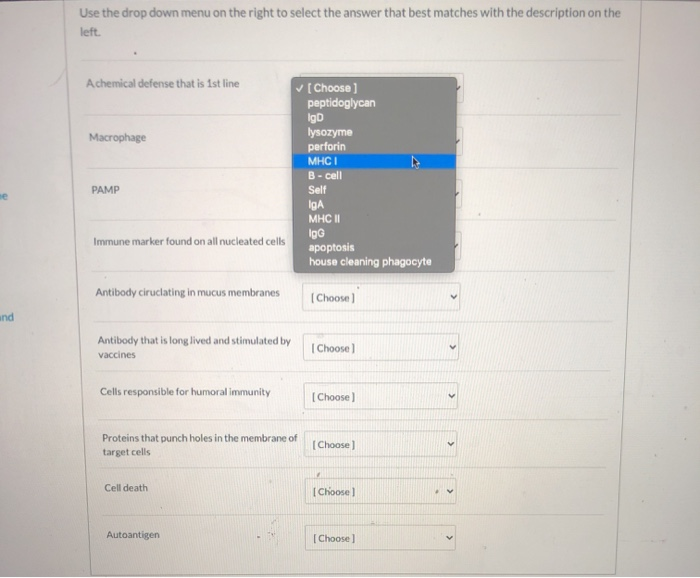 Solved Use the drop down menu on the right to select the | Chegg.com