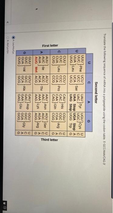 Solved Translate the following sequence of mRNA into a | Chegg.com