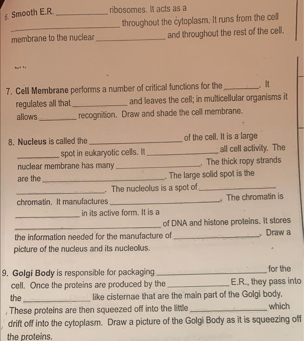 The virtual cell worksheet answers
