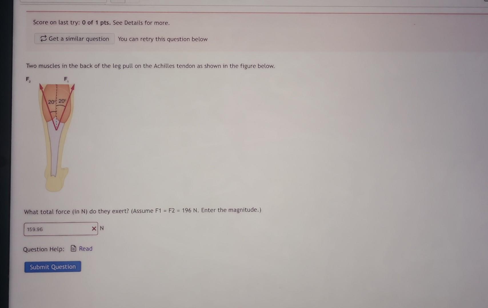 Two muscles in the back of the leg pull on the Achilles tendon as shown in the figure below.
What total force (in N) do they 
