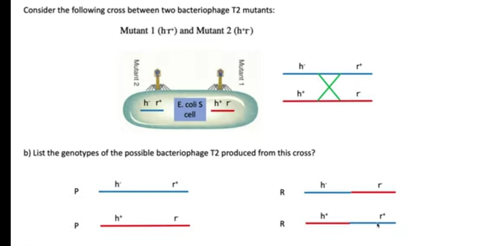 Consider The Following Data From A Transduction | Chegg.com