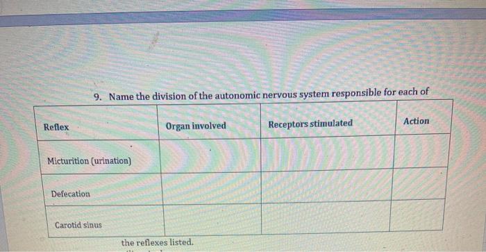 Solved 9. Name the division of the autonomic nervous system | Chegg.com