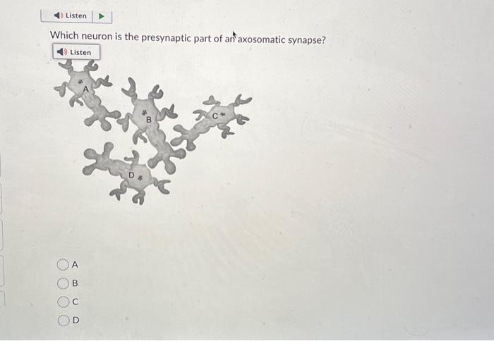 Solved Which neuron is the presynaptic part of antaxosomatic | Chegg.com