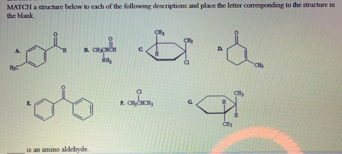 Solved MATCH a structure below to each of the following | Chegg.com