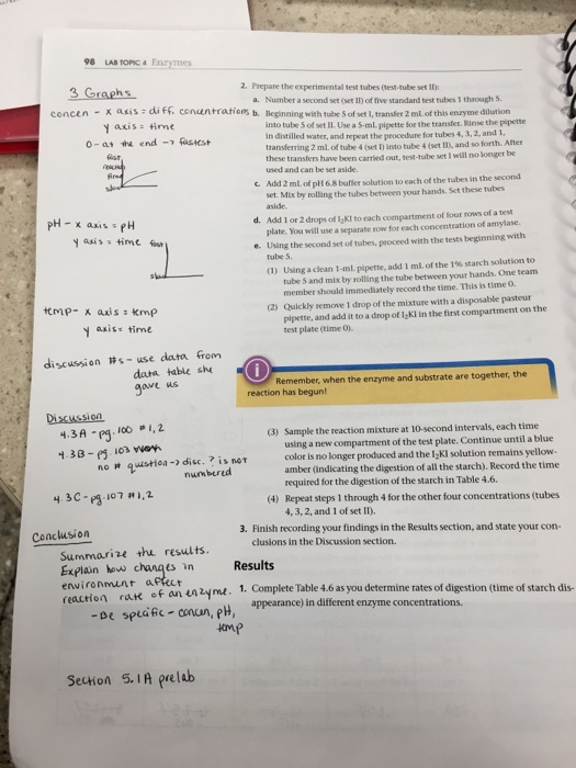 In the same Lab, Lab 4 Enzymes, what is the