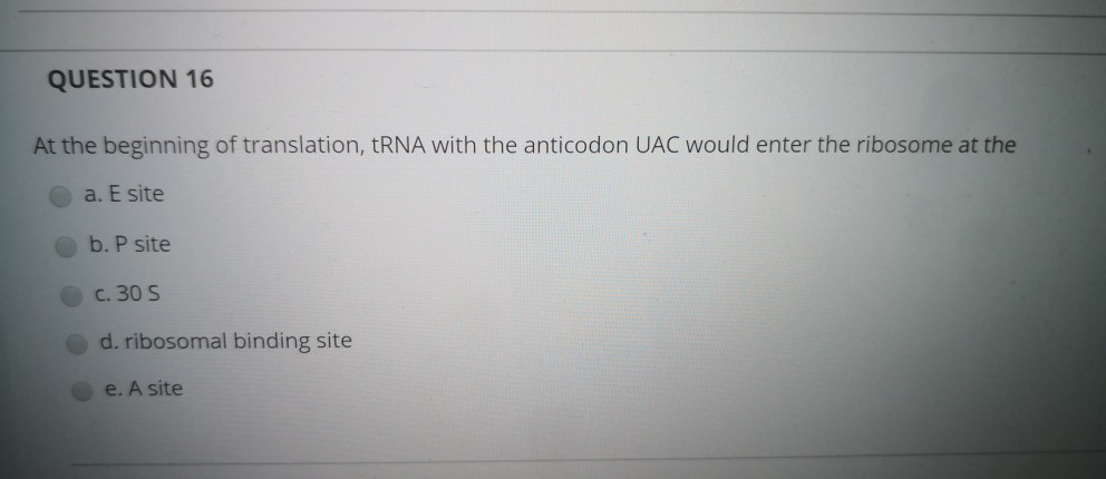 solved-question-16-at-the-beginning-of-translation-trna-chegg