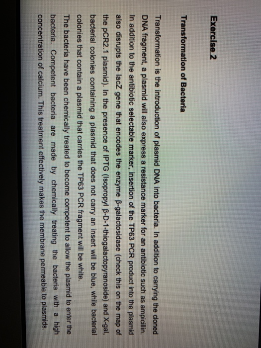 Lb Agar Recipe Ampicillin Besto Blog