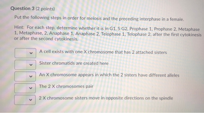 Solved Question 3 2 Points Put The Following Steps In O