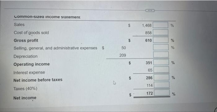 what is a common size balance sheet and income statement