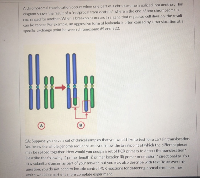 A chromosomal translocation occurs when one part of a | Chegg.com