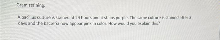 Solved Gram staining: A bacillus culture is stained at 24 | Chegg.com