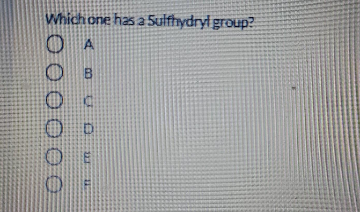 Solved Which One Has A Sulfhydryl Group O O Oooo A I C Chegg Com