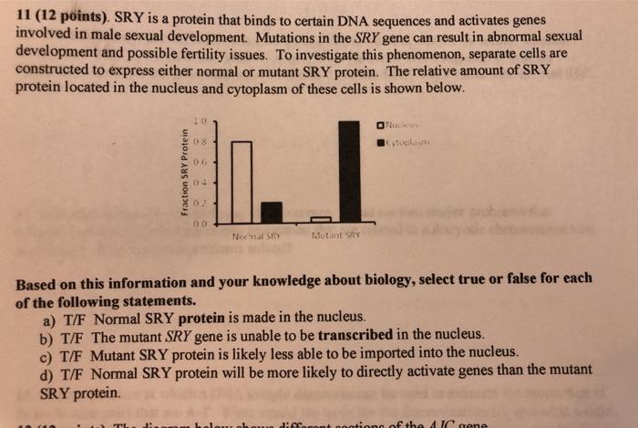 Solved 11 (12 points). SRY is a protein that binds to | Chegg.com
