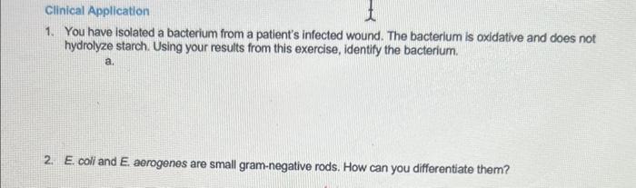 Solved 1. You have isolated a bacterium from a patient's | Chegg.com