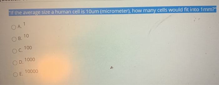 How big is a human cell?