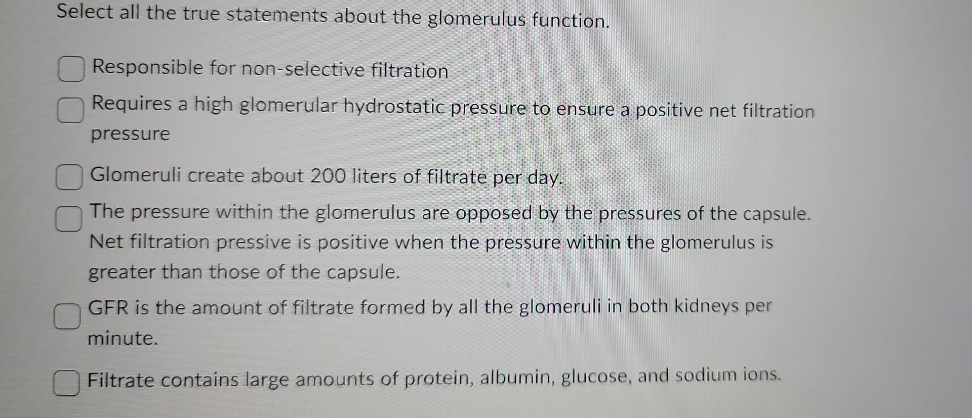 Solved Select all the true statements about the glomerulus