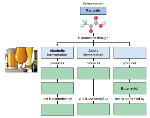 Solved What Are The Three Types Of Fermentation Discussed In This Chegg Com