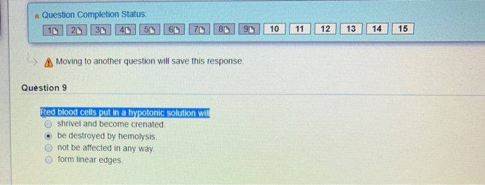 Solved Question Completion Status: 0 20 30 40 50 60 70 80 90 | Chegg.com