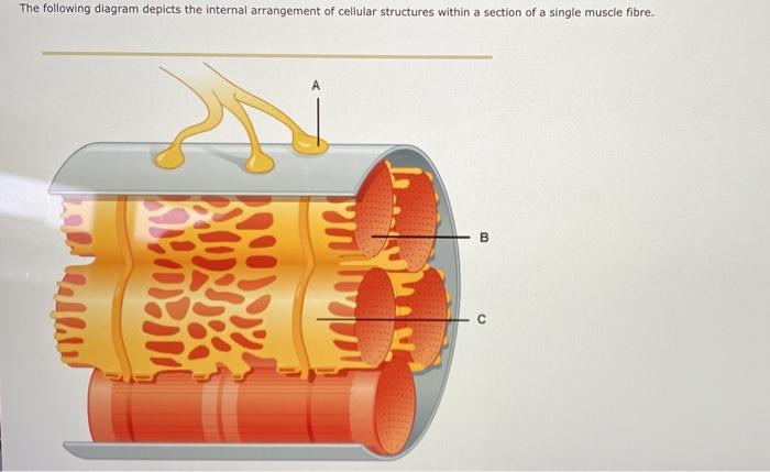 Solved The Following Diagram Depicts The Internal | Chegg.com