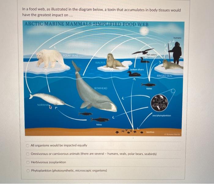 Solved In a food web, as illustrated in the diagram below, a | Chegg.com