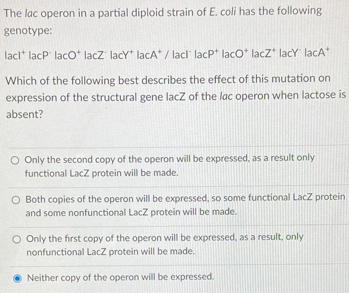 Solved The lac operon in a partial diploid strain of E. coli | Chegg.com
