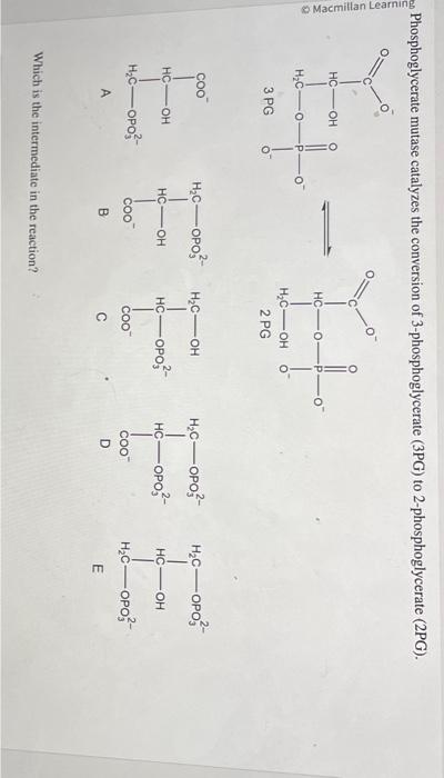 Phosphoglycerate mutase catalyzes the conversion of 3-phosphoglycerate (3PG) to 2-phosphoglycerate (2PG).
Which is the interm