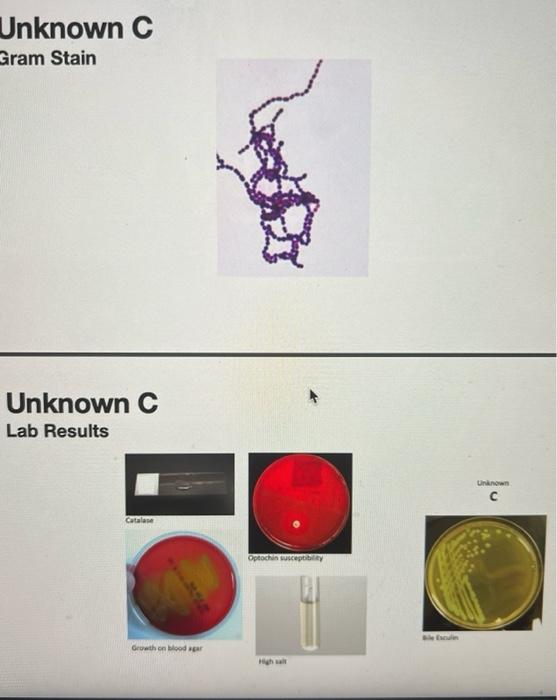 Solved identify the unknown bacteria, and create a | Chegg.com