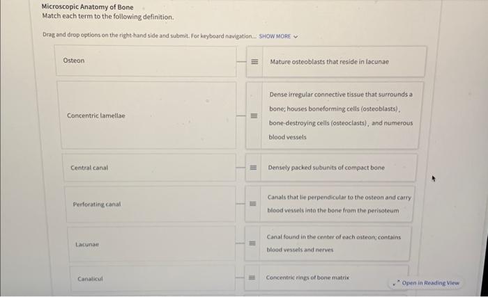 Solved Microscopic Anatomy of Bone Match each term to the | Chegg.com