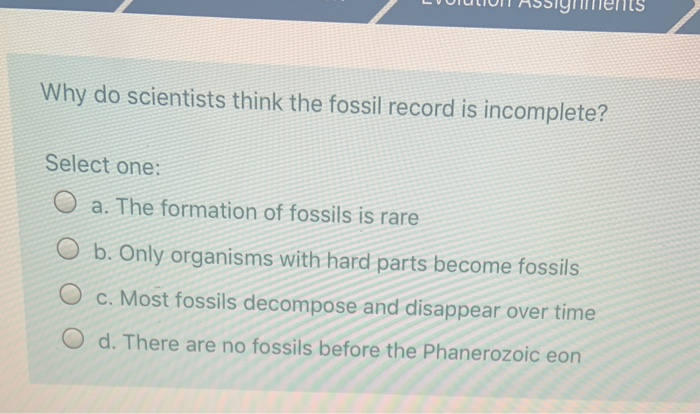 Solved LIULUI ASSIymers Why do scientists think the fossil 
