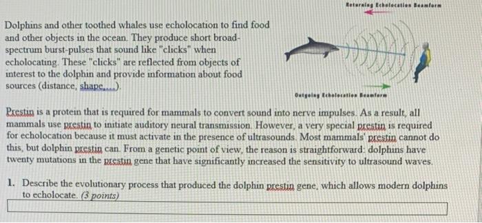 Solved Dolphins and other toothed whales use echolocation to | Chegg.com