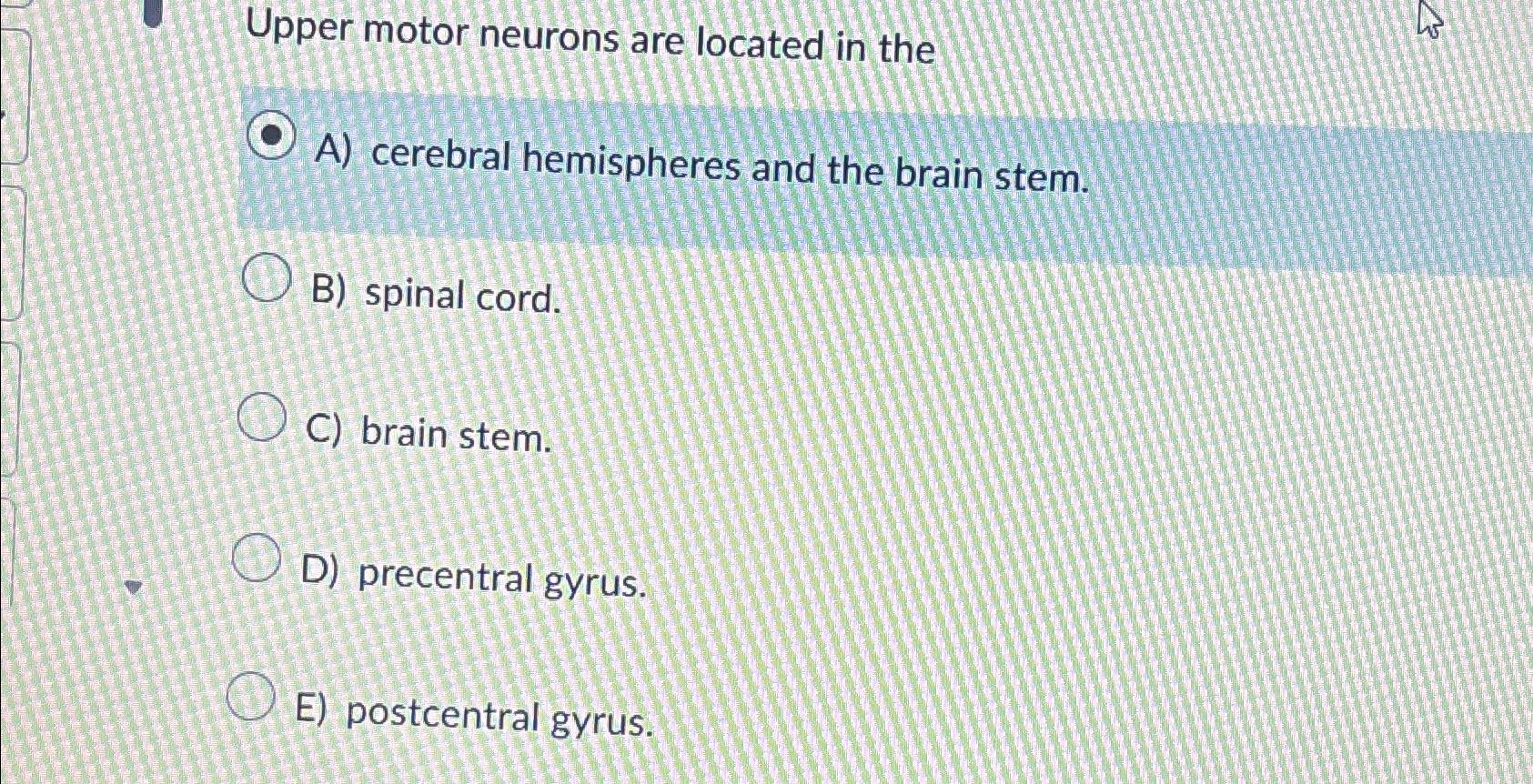 Solved Upper motor neurons are located in theA) ﻿cerebral | Chegg.com