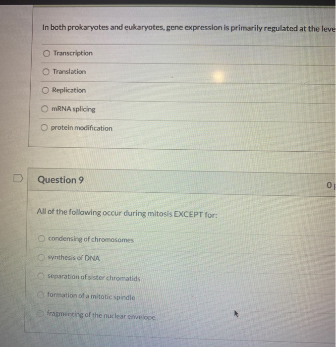 Solved In both prokaryotes and eukaryotes, gene expression | Chegg.com