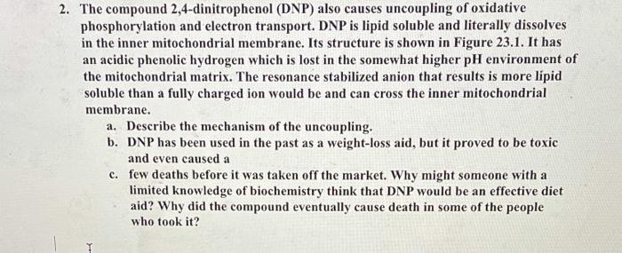 2 4 dinitrophenol uncoupling oxidative phosphorylation