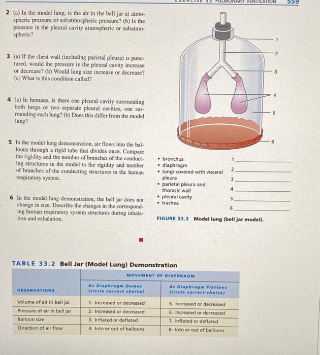 pleural cavity pressure