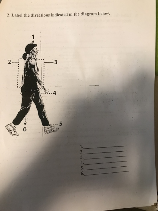Label Direction Out Solved 2. Label the directions indicated in the diagram | Chegg.com