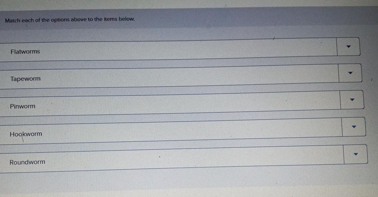 Solved Match the common name to its correct classification. | Chegg.com