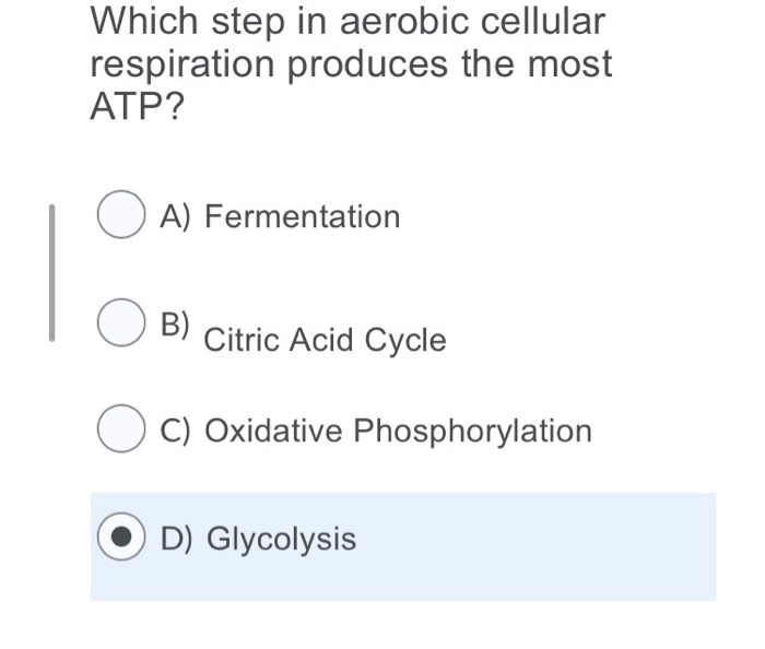 Solved Chemiosmosis involves which of the following (select | Chegg.com