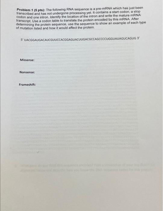 Solved The following RNA sequence is a pre-mRNA which has | Chegg.com
