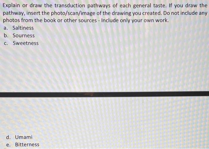 Solved Explain or draw the transduction pathways of each | Chegg.com