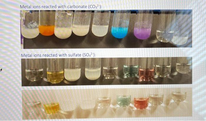 Solved Solubility rule based on your observations in this | Chegg.com