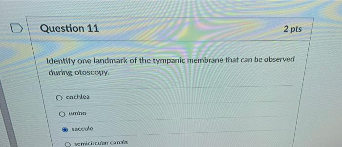 Solved Identify one landmark of the tympanic membrane that | Chegg.com