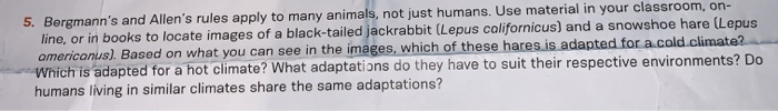 5. Bergmann's and Allen's rules apply to many | Chegg.com