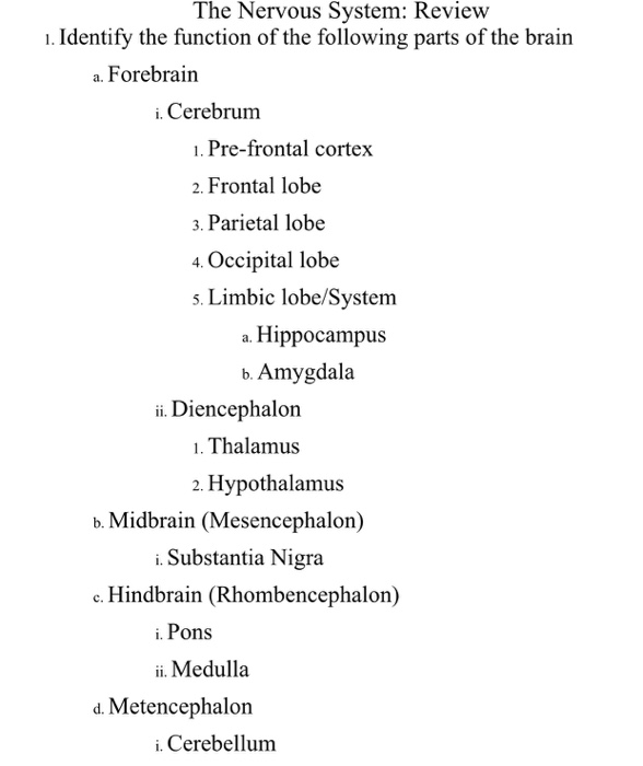 Solved The Nervous System: Review 1. Identify The Function | Chegg.com