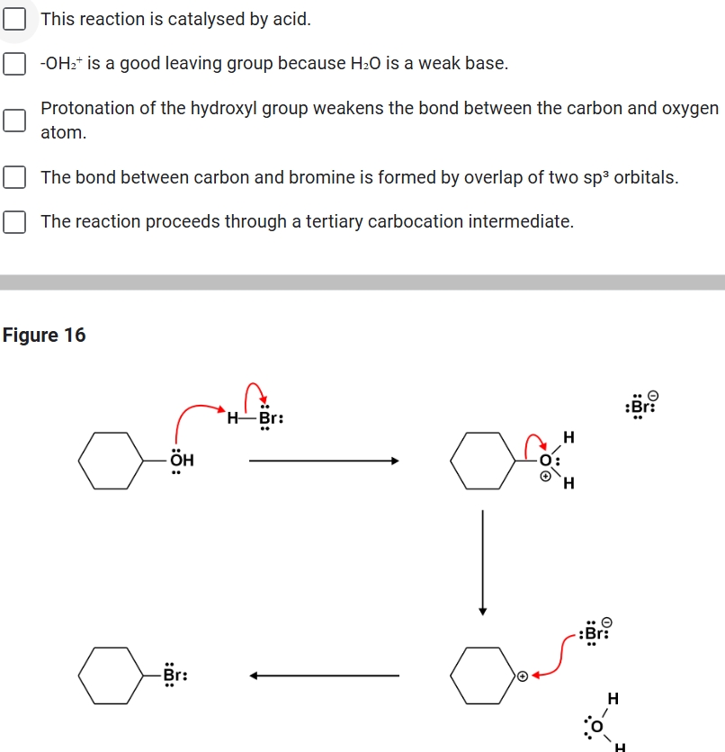 [Solved] What is the main product of the reaction in Figure