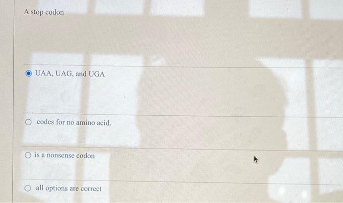 Solved A stop codon UAA, UAG, and UGA O codes for no amino | Chegg.com