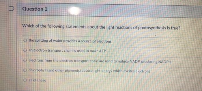 Solved Which of the following statements about the light | Chegg.com