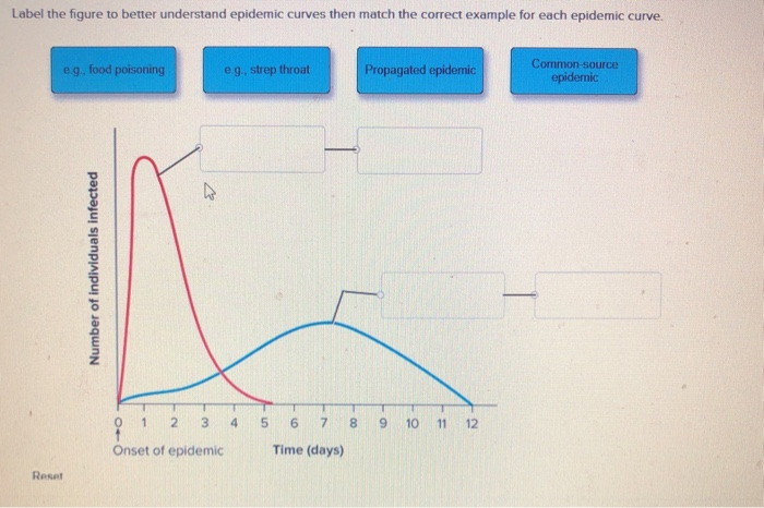 solved-label-the-figure-to-better-understand-epidemic-curves-chegg