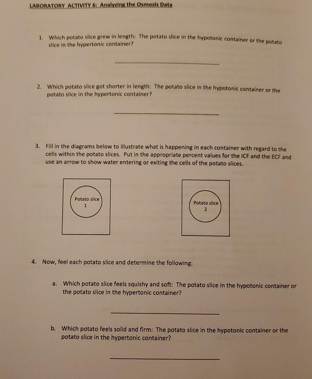 Solved LABORATORY ACTIVITY 5 Osmosis Observing the